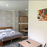 30 ლარი ღამე, ბინა დღიურად