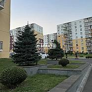 100 ლარი ღამე, ბინა დღიურად