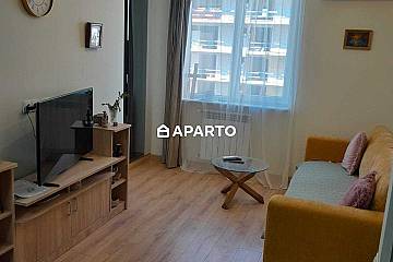 150 ლარი ღამე, ბინა დღიურად