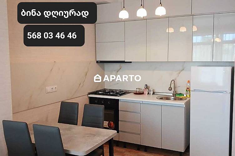 50 ლარი ღამე, ბინა დღიურად