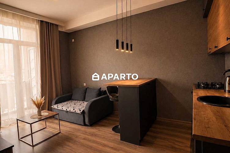 70 ლარი ღამე, ბინა დღიურად