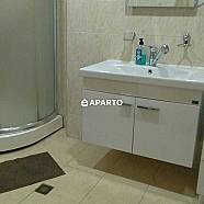 150 ლარი ღამე, ბინა დღიურად