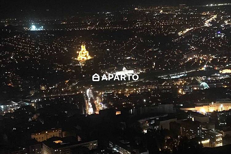 40 ლარი ღამე, ბინა დღიურად