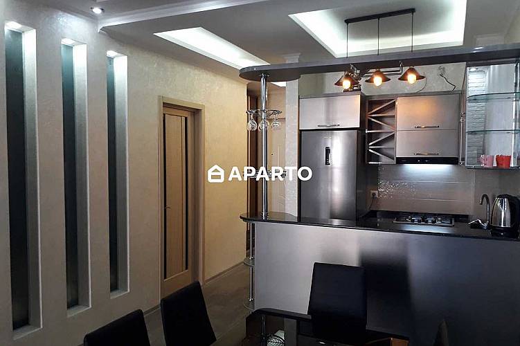 160 ლარი ღამე, ბინა დღიურად
