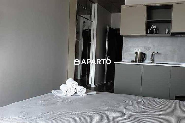 50 ლარი ღამე, ბინა დღიურად