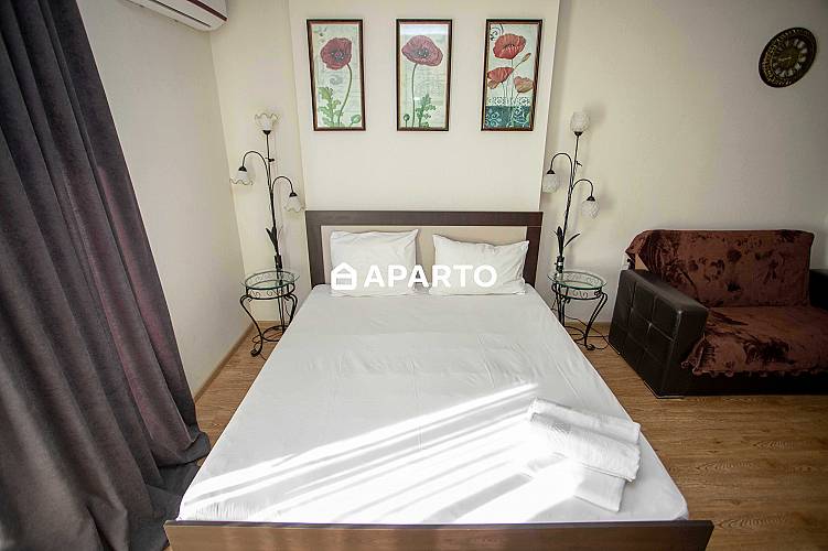 50 ლარი ღამე, ბინა დღიურად