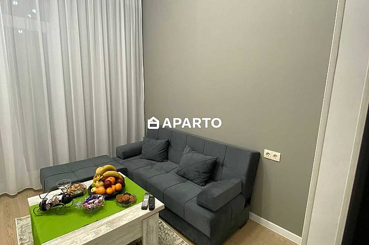 50 ლარი ღამე, ბინა დღიურად