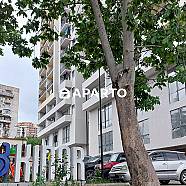 80 ლარი ღამე, ბინა დღიურად