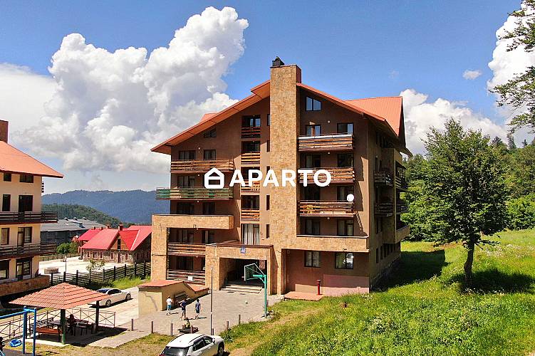 75 ლარი ღამე, ბინა დღიურად
