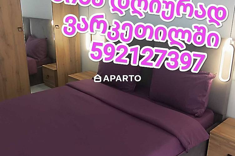 30 ლარი ღამე, ბინა დღიურად