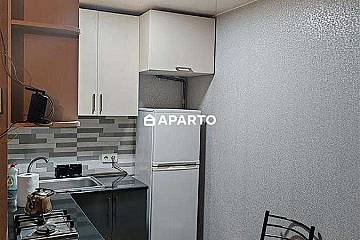 80 ლარი ღამე, ბინა დღიურად