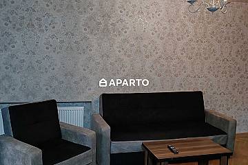 70 ლარი ღამე, ბინა დღიურად