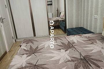 20 ლარი ღამე, ბინა დღიურად