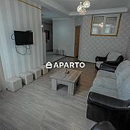 100 ლარი ღამე, ბინა დღიურად
