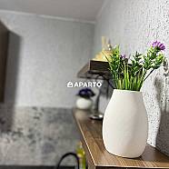 80 ლარი ღამე, ბინა დღიურად