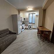 100 ლარი ღამე, ბინა დღიურად