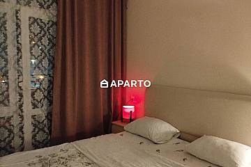 30 ლარი ღამე, ბინა დღიურად