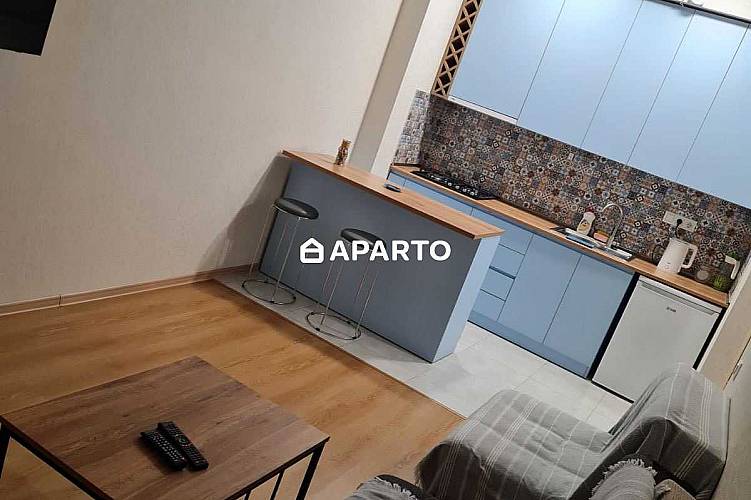 60 ლარი ღამე, ბინა დღიურად