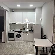 30 ლარი ღამე, ბინა დღიურად