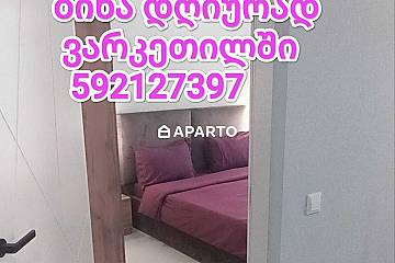 30 ლარი ღამე, ბინა დღიურად