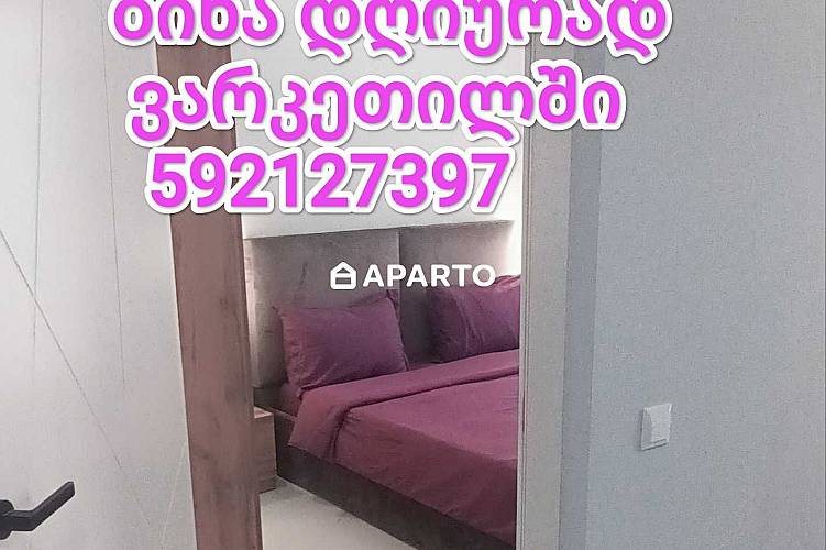 30 ლარი ღამე, ბინა დღიურად