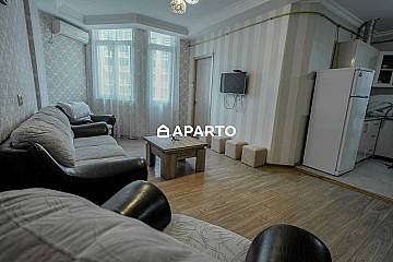 100 ლარი ღამე, ბინა დღიურად
