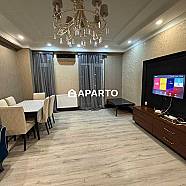 150 ლარი ღამე, ბინა დღიურად