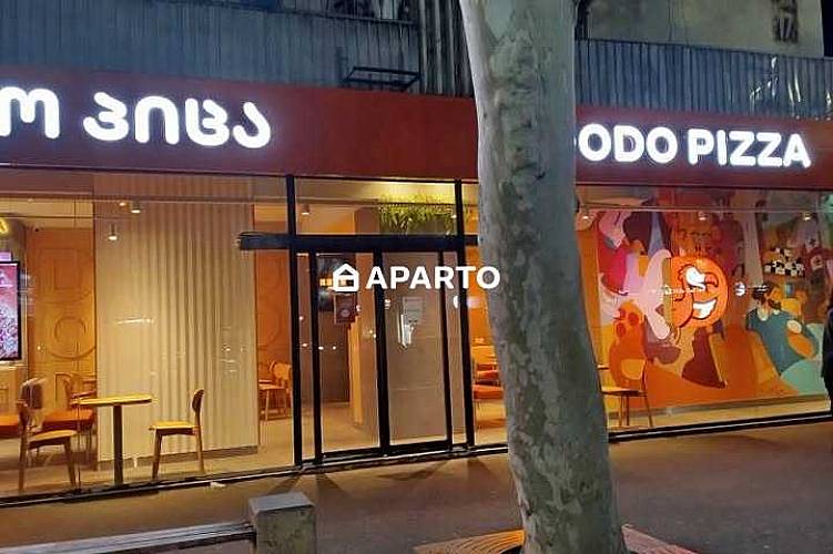 1 ლარი ღამე, ბინა დღიურად