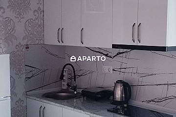 100 ლარი ღამე, ბინა დღიურად