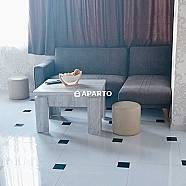 100 ლარი ღამე, ბინა დღიურად