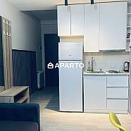 70 ლარი ღამე, ბინა დღიურად