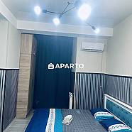 70 ლარი ღამე, ბინა დღიურად