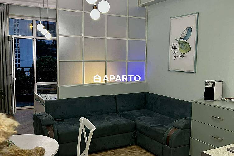 1 ლარი ღამე, ბინა დღიურად