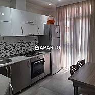 150 ლარი ღამე, ბინა დღიურად