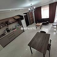 300 ლარი ღამე, ბინა დღიურად