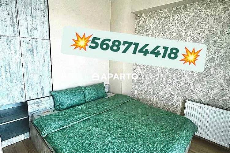 30 ლარი ღამე, ბინა დღიურად