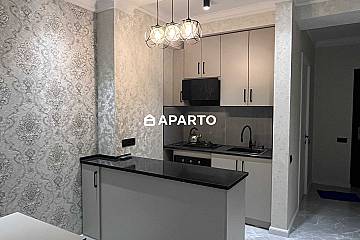 60 ლარი ღამე, ბინა დღიურად