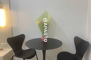 120 ლარი ღამე, ბინა დღიურად