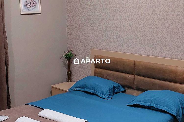 80 ლარი ღამე, ბინა დღიურად